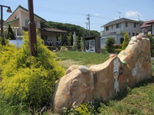 IMG_9078