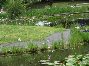 IMG_9099