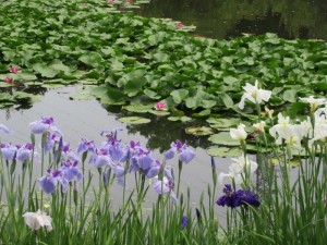 IMG_9102