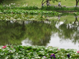 IMG_9110