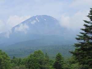 IMG_9317