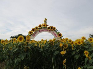 IMG_9354