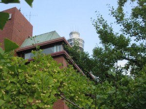 IMG_9386