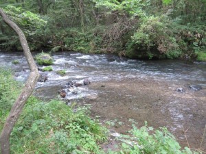 IMG_9532