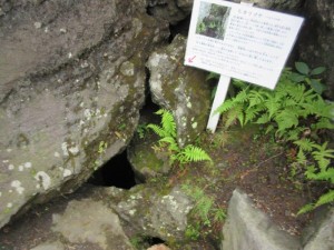 IMG_9544