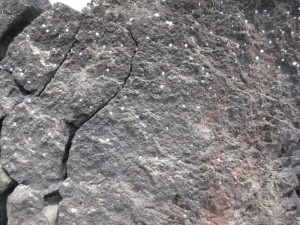 IMG_9550