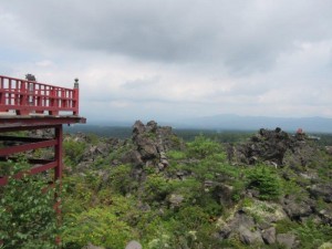 IMG_9552