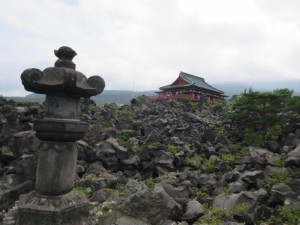 IMG_9558