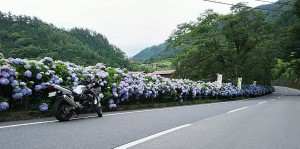 2017-08-03奥多摩~丹波山~相模湖~津久井湖ツーリングブログ (6)