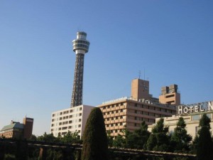 IMG_9567