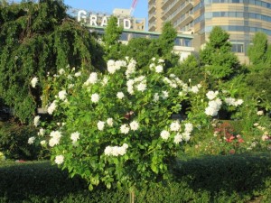 IMG_9569