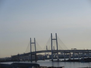IMG_9575