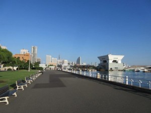 IMG_9579