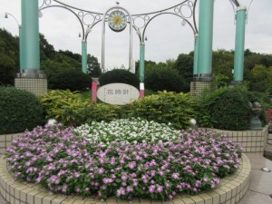 IMG_9610