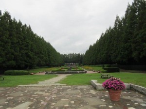 IMG_9615