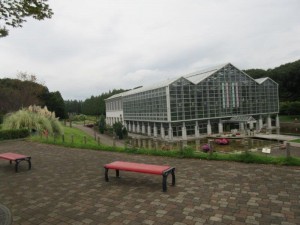 IMG_9622