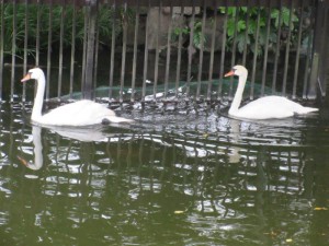 IMG_9627