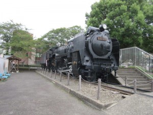 IMG_9628