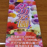 小鹿野ダリア園 (22)