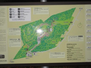 IMG_0019