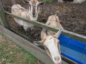 IMG_0047