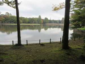 IMG_9804