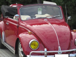 IMG_9900