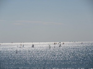 IMG_9927