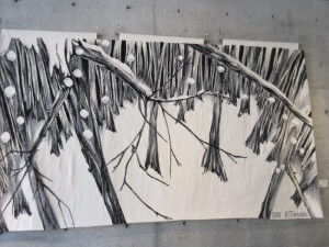 IMG_9932
