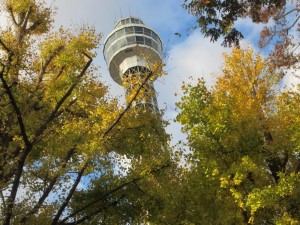 IMG_0105