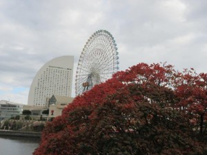 IMG_0111