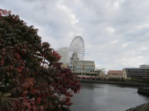 IMG_0112