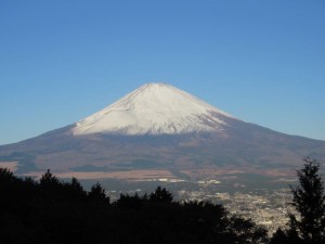 IMG_0123