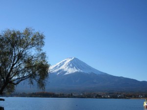 IMG_0124