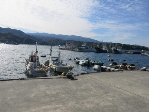 IMG_0165