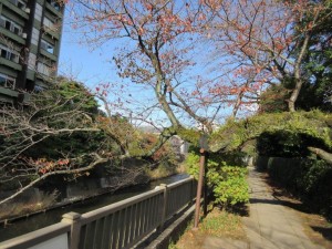 IMG_0170