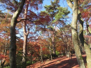 IMG_0200