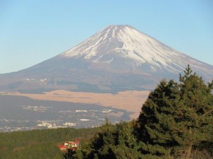 IMG_0503