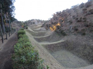 IMG_0505