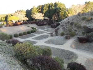 IMG_0506