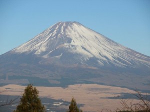 IMG_0508