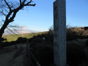 IMG_0509