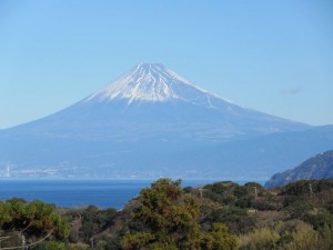 IMG_0511