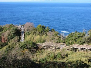 IMG_0517