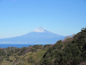 IMG_0518