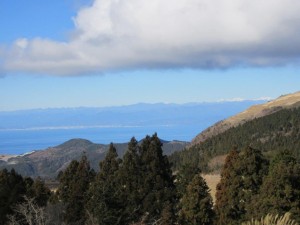 IMG_0521