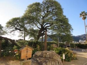 IMG_0625