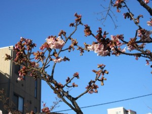 IMG_0630