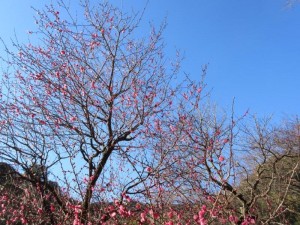 IMG_0640