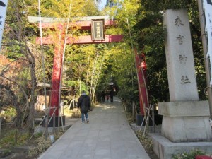 IMG_0645